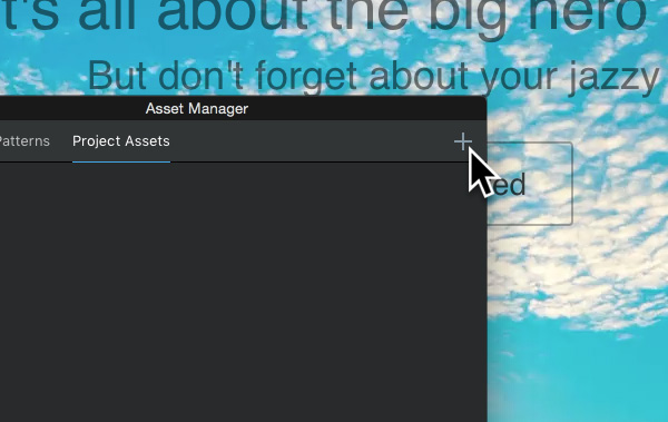 project-assets-add