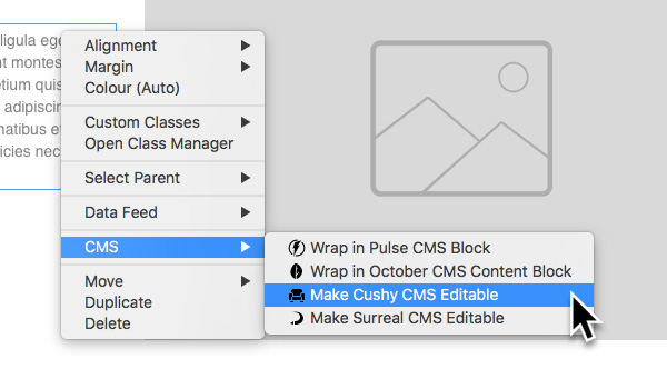 make-cushy-cms