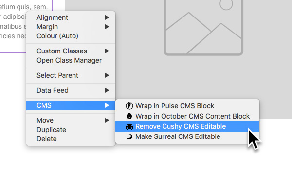 remove-cushy-cms